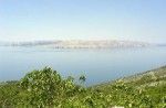 objects/1665/73310_POGLED ALEN.jpg